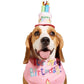 Pet Bandana and Pom Pom Party Hat Set for Dogs and Cats Celebration Costume Accessory
