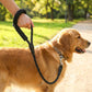 Pet Dog Leash Adjustable Nylon Rope with Comfortable Handle and Metal Clip for Small Medium Dogs