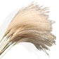 Pampas Grass and Cotton Dried Floral Arrangement with Wheat
