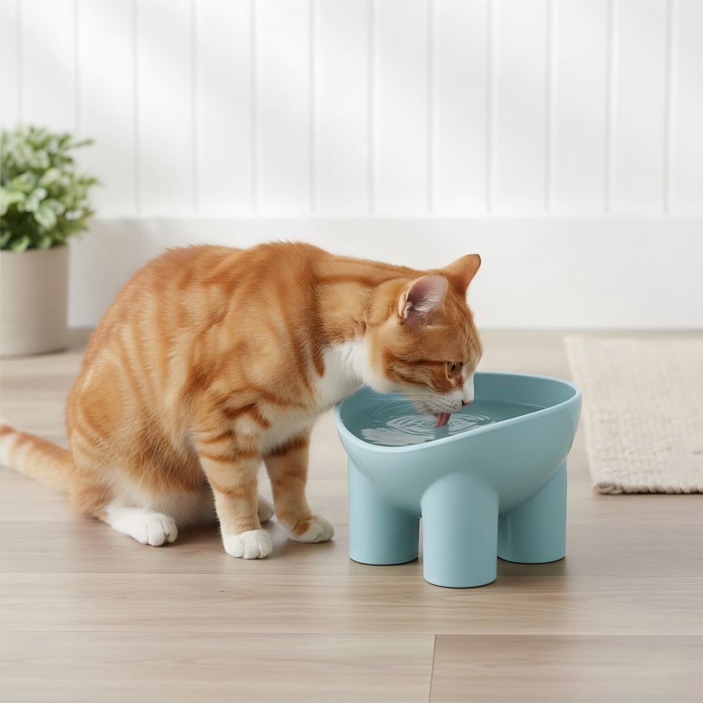 Elevated Tilted Cat Food Bowl with Raised Base for Comfortable Feeding