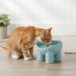 Elevated Tilted Cat Food Bowl with Raised Base for Comfortable Feeding