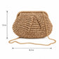 Woven Straw Crossbody Bag Small Chain Shoulder Handbag with Flap Closure