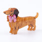 3pc Dachshund Dog Hair Claw Clip Set Striped Rhinestone Puppy Hair Accessories