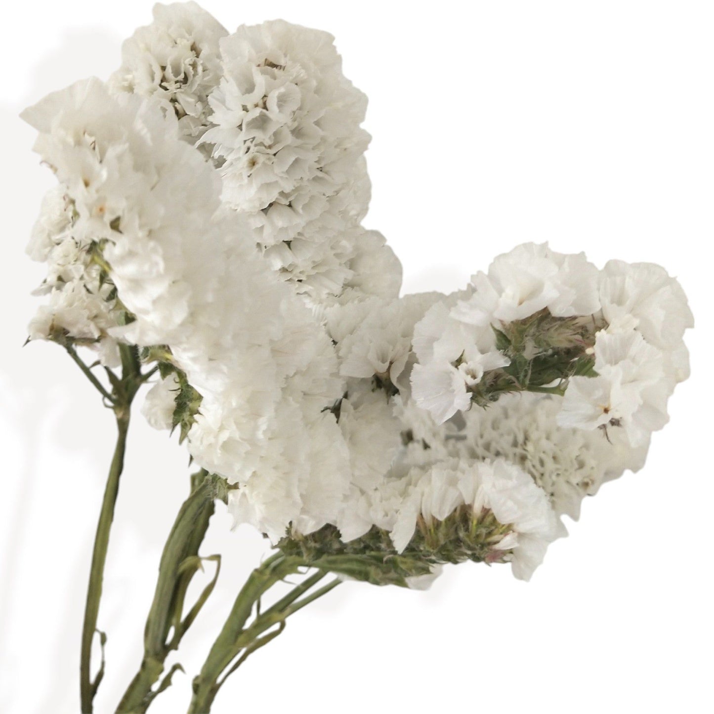 Autumn-Inspired Dried Flowers Floral Arrangement with Warm Hues, 17.8 Inches