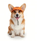 Pet Visor Sun Hat with Open Ear Design Adjustable Chin Strap Lightweight Outdoor Cap for Cats and Dogs
