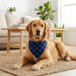 Red Plaid Pet Bandana Scarf Tie-On Triangle Neck Accessory Classic Buffalo Check