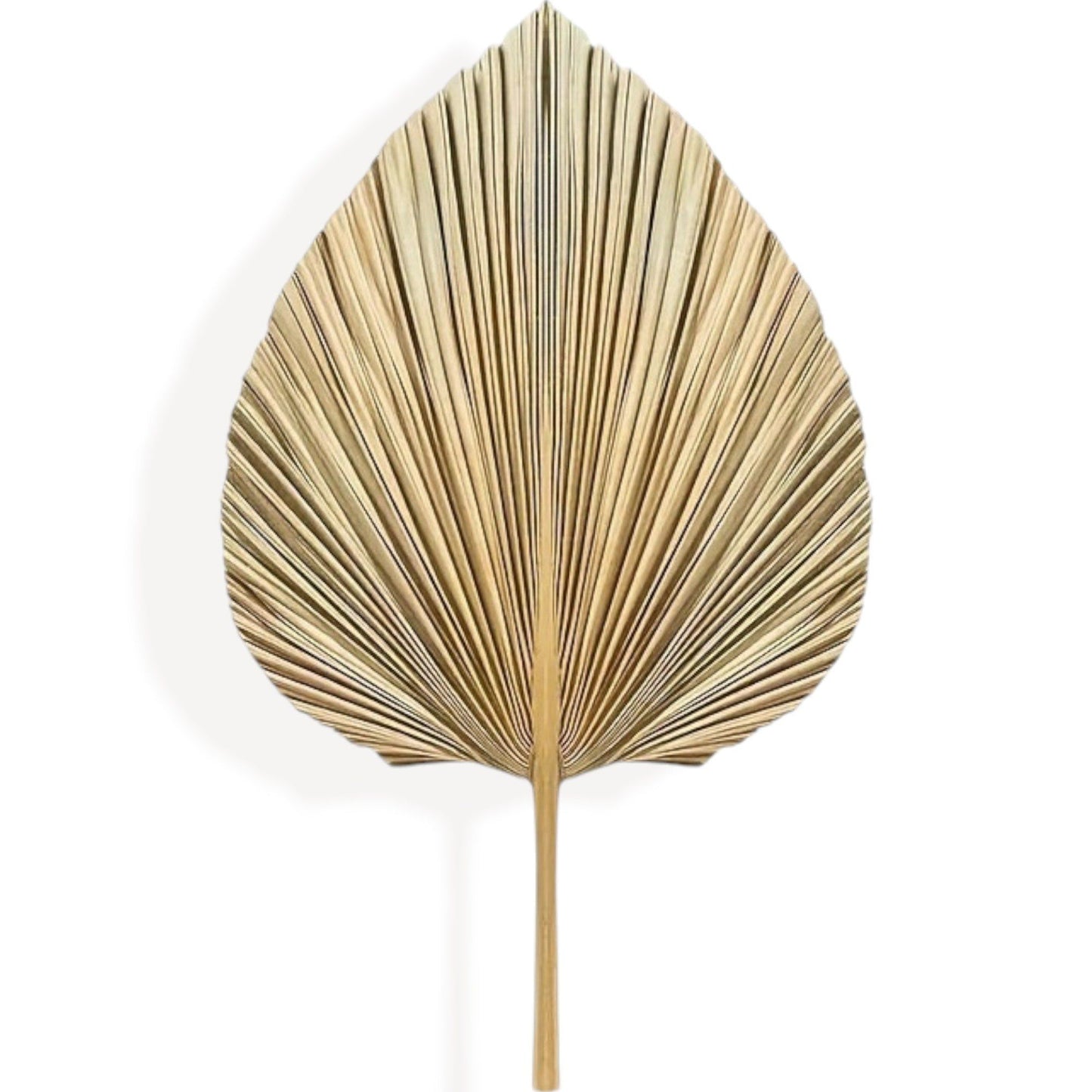 Elegant Dried Palm Leaf and Pampas Grass Floral Arrangement