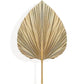 Elegant Dried Palm Leaf and Pampas Grass Floral Arrangement