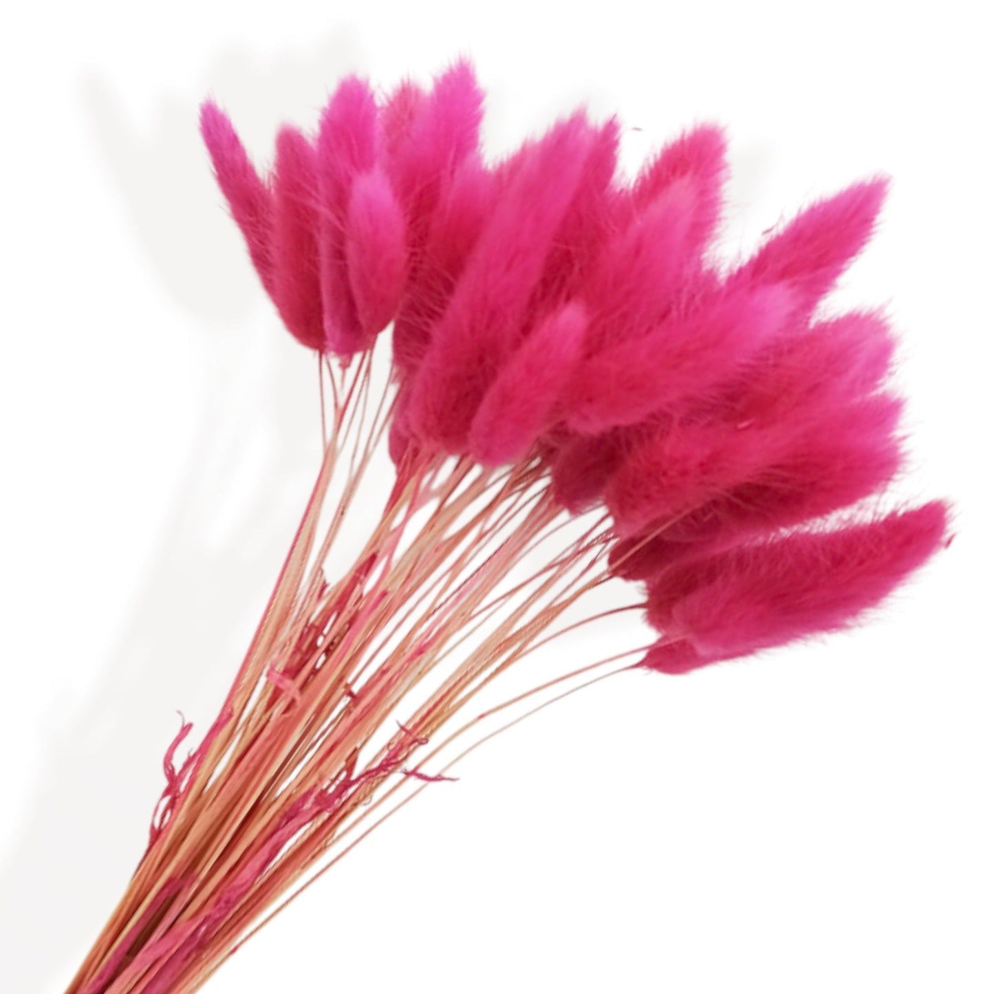 Vibrant Dried Flowers Mixed Floral Arrangement with Pink and Red Accents, 17.8 Inches