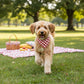 Red Plaid Pet Bandana Scarf Tie-On Triangle Neck Accessory Classic Buffalo Check