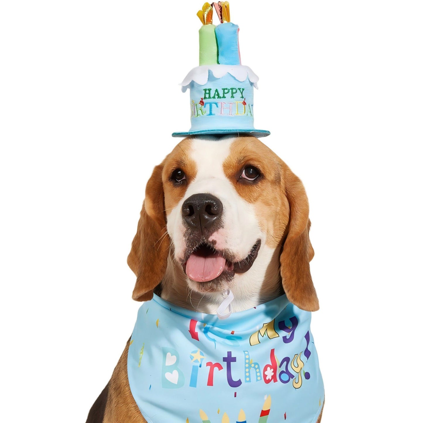 Pet Bandana and Pom Pom Party Hat Set for Dogs and Cats Celebration Costume Accessory
