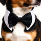 Pet Holiday Crochet Collar and Bowtie Set for Cats and Dogs Adjustable and Festive