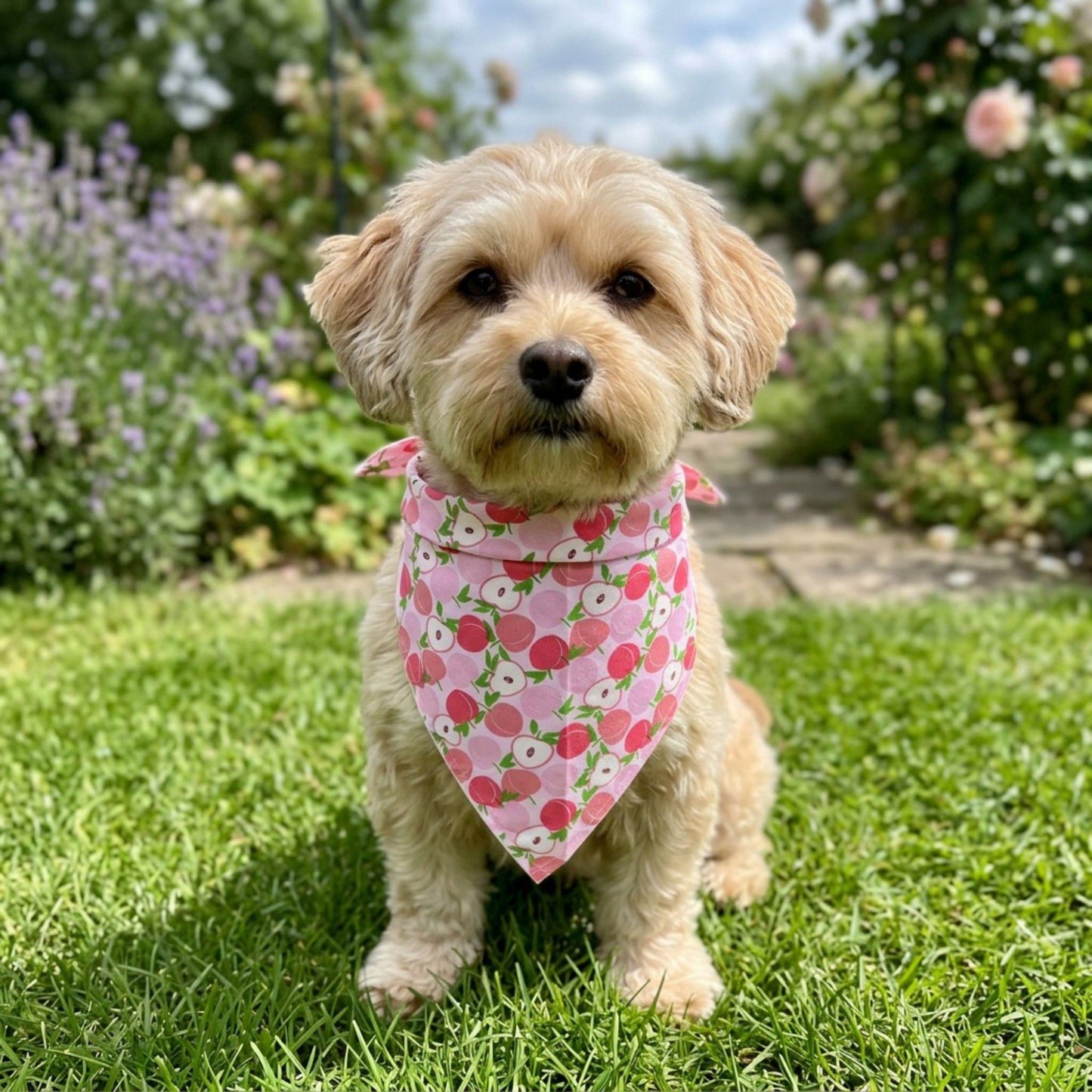 Fruit Print Pet Bandana, Soft Cotton Citrus Pattern Scarf Bib for Small Medium Dogs Cats