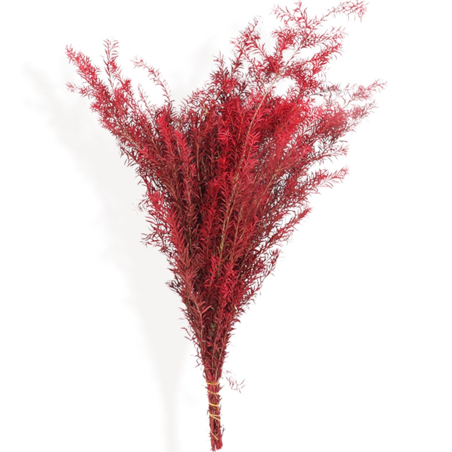 Autumn-Inspired Dried Flowers Floral Arrangement with Warm Hues, 17.8 Inches