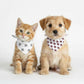 Pet Bandana Scarf Duck Pattern Decorative Neck Accessory for Dogs and Cats