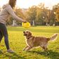 EVA Dog Toy Interactive Fetch Disc and Chew Ball Durable Play Toy for Dogs