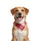 Pet Bandana Collar Soft Adjustable Double Layer Plaid Scarf with Button Closure for Cats and Dogs
