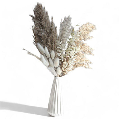 Natural Pampas Grass and Bunny Tail Dried Floral Arrangement