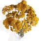 Vibrant Wildflower-Inspired Dried Flowers Floral Arrangement, 17.8 Inches