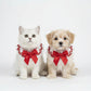Pet Lace Collar with Bow Accent Decorative Neck Accessory for Dogs and Cats