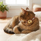 Adjustable Dog & Cat Collar with Paw Print Decoration and Bell Soft PU Leather
