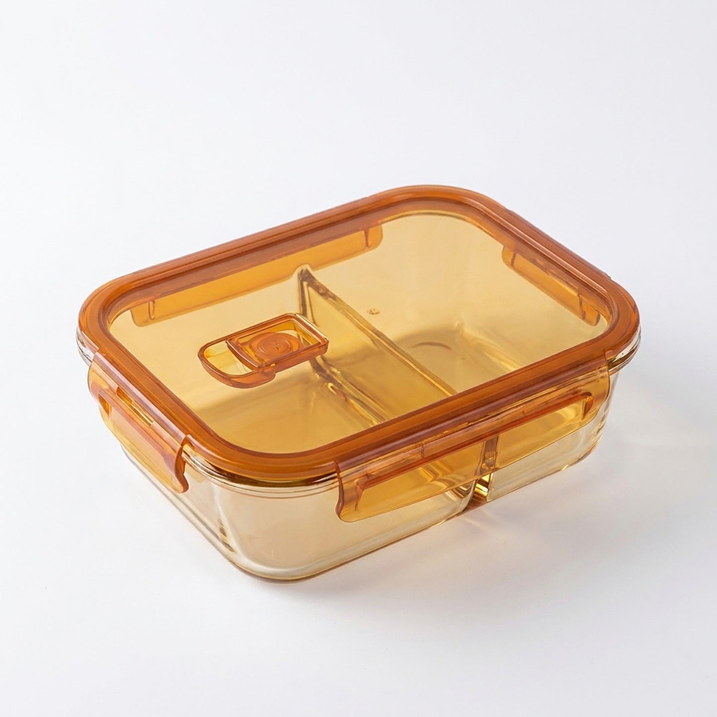 Divided Food Storage Container with Snap Lid and Sauce Compartment