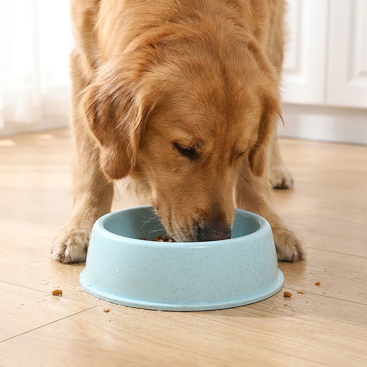 Plastic Pet Food Bowl with Rounded Rim for Cats and Dogs