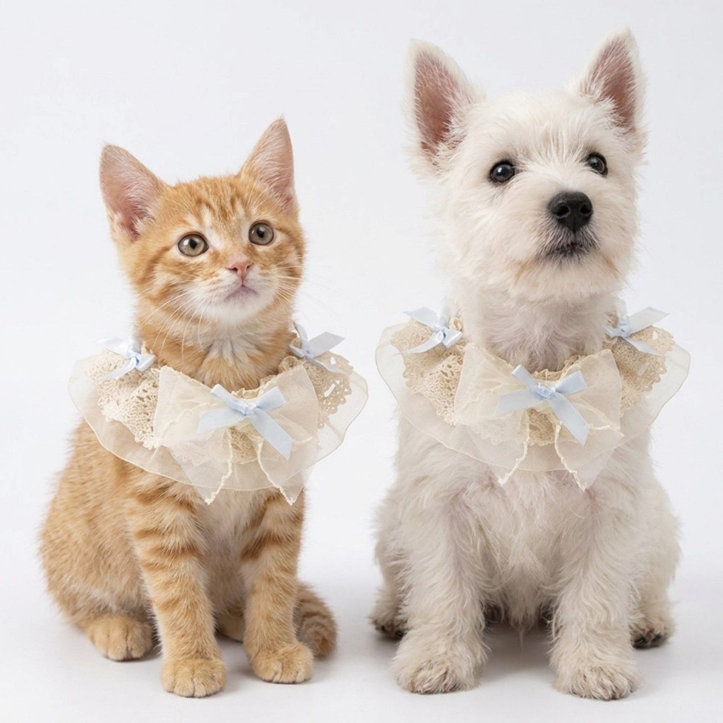 Pet Lace Collar with Bow Accent Decorative Neck Accessory for Dogs and Cats
