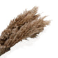 Pampas Grass and Cotton Dried Floral Arrangement with Wheat