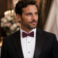 Pre Tied Paisley Bow Tie Adjustable Formal Suit and Tuxedo Accessory