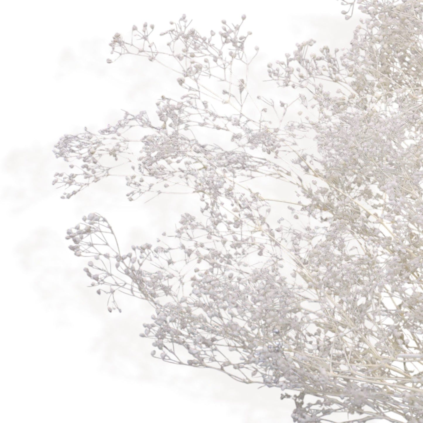 Dried Flowers Eucalyptus and Dried Floral Arrangement, 17.8 Inches