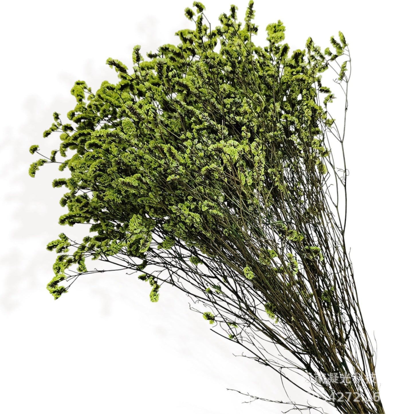 Autumn-Inspired Dried Flowers Floral Arrangement with Warm Hues, 17.8 Inches