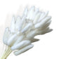 Natural Pampas Grass and Bunny Tail Dried Floral Arrangement