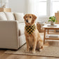 Red Plaid Pet Bandana Scarf Tie-On Triangle Neck Accessory Classic Buffalo Check