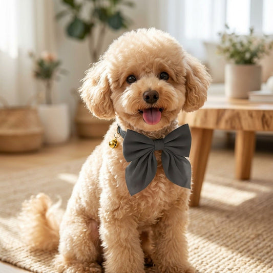 Pet Bow Collar Soft Adjustable Satin Bow Tie with Bell Detail Elegant Neck Accessory
