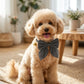 Pet Bow Collar Soft Adjustable Satin Bow Tie with Bell Detail Elegant Neck Accessory