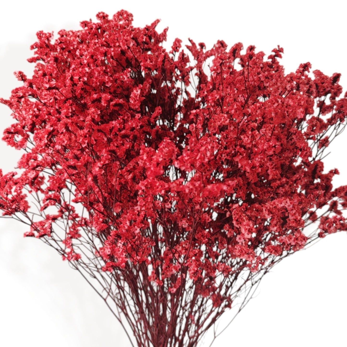 Vibrant Dried Flowers Mixed Floral Arrangement with Pink and Red Accents, 17.8 Inches