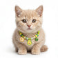 Adjustable Pet Collar with Bell Paw Charm Beaded Necklace Colorful Decorative Collar for Cats and Small Dogs