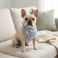 Dog Bandana Scarf Yellow with Black and White Pattern Pet Neck Accessory