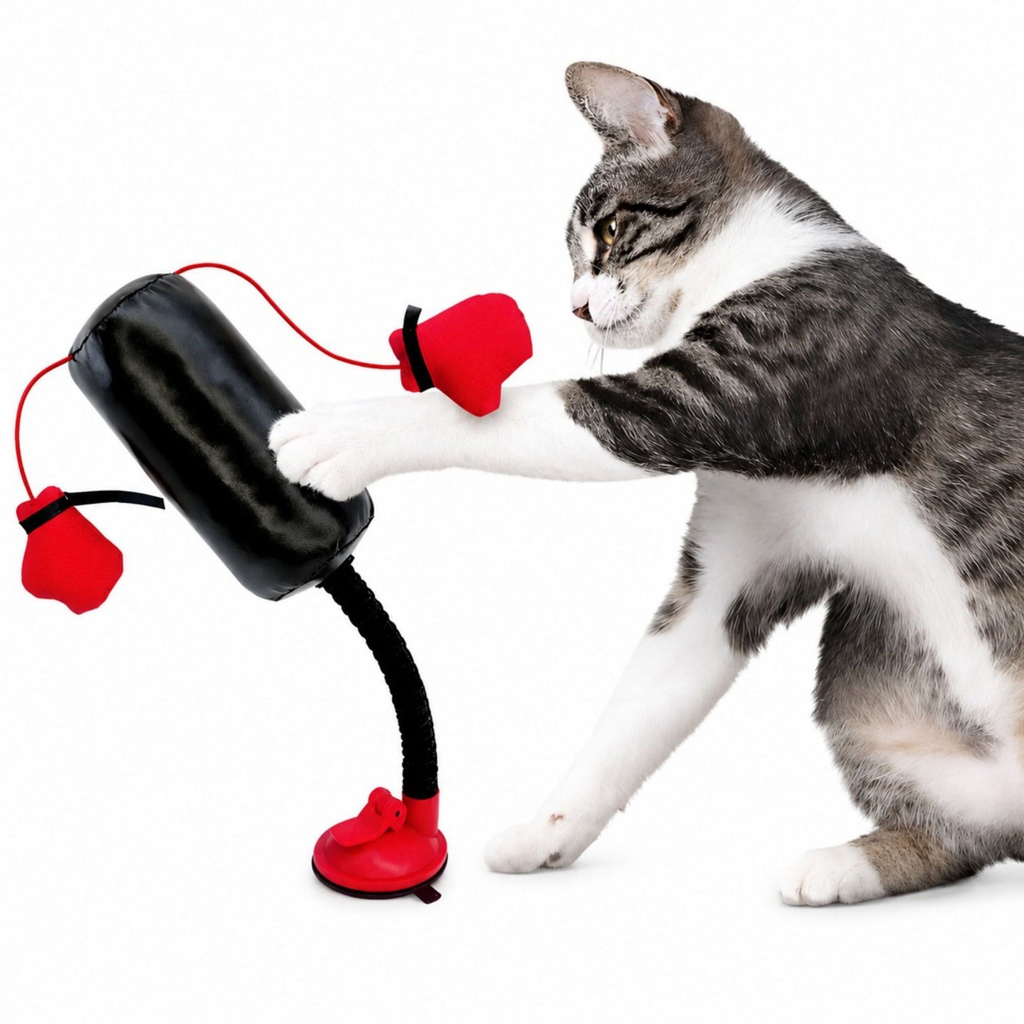 Interactive Cat Boxing Toy with Suction Cup Base, Spring Rebound Punching Bag and Hanging Gloves