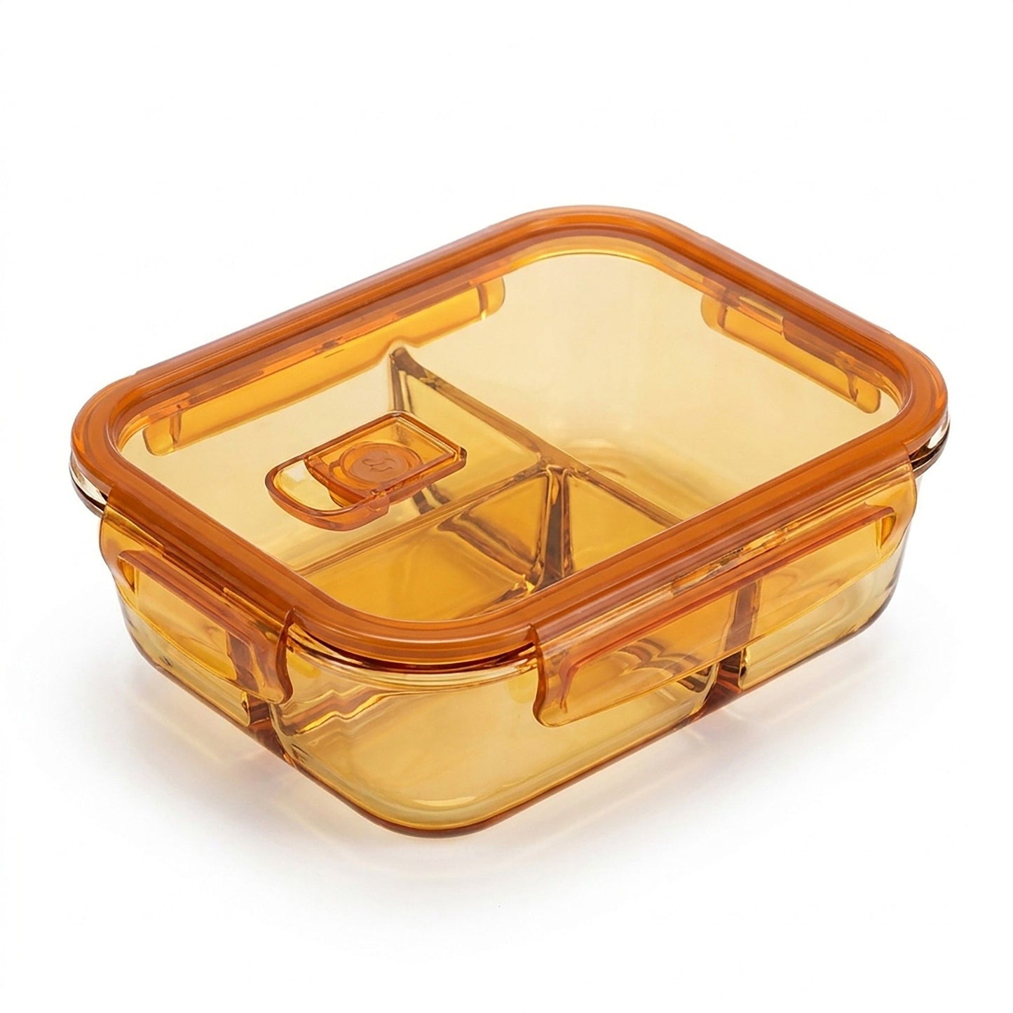 Divided Food Storage Container with Snap Lid and Sauce Compartment