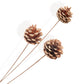 Pampas Grass and Pinecone Dried Floral Arrangement