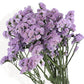 Vibrant Wildflower-Inspired Dried Flowers Floral Arrangement, 17.8 Inches