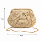Woven Straw Crossbody Bag Small Chain Shoulder Handbag with Flap Closure