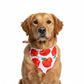 Fruit Print Pet Bandana, Soft Cotton Citrus Pattern Scarf Bib for Small Medium Dogs Cats