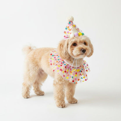 Pet Birthday Hat and Polka Dot Tulle Collar Set Colorful Party Costume Accessory