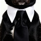Pet Holiday Crochet Collar and Bowtie Set for Cats and Dogs Adjustable and Festive