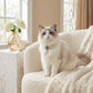 Double Strand Faux Pearl Pet Necklace Heart Gem Pendant Adjustable Collar Jewelry for Cats and Small Dogs