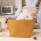 Insulated Roll Top Lunch Bag with Buckle Handle and Leak-Resistant Lining