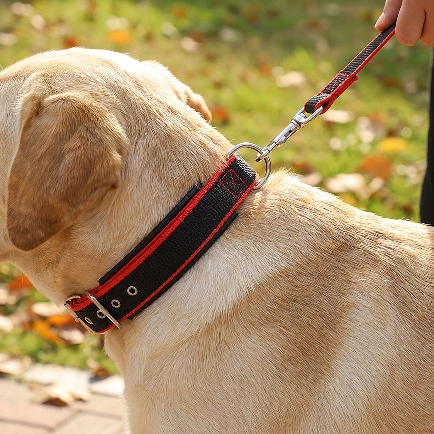 Padded Dog Collar Adjustable Nylon Pet Collar with Metal Buckle Soft Lining